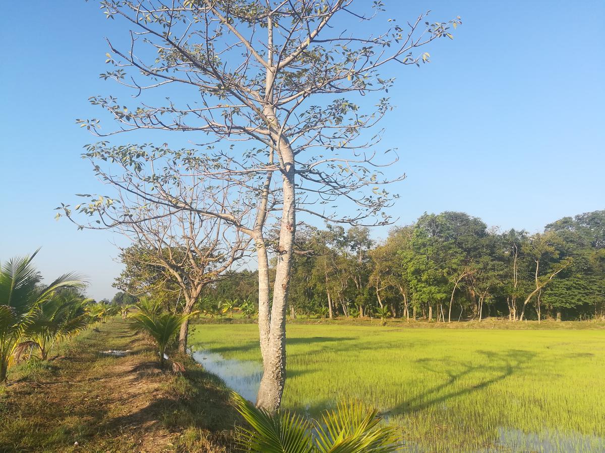 Bn Resort Ban Nong Chum Saeng Buitenkant foto